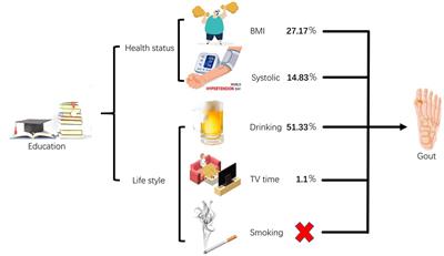 The relationship between education attainment and gout, and the mediating role of modifiable risk factors: a Mendelian randomization study